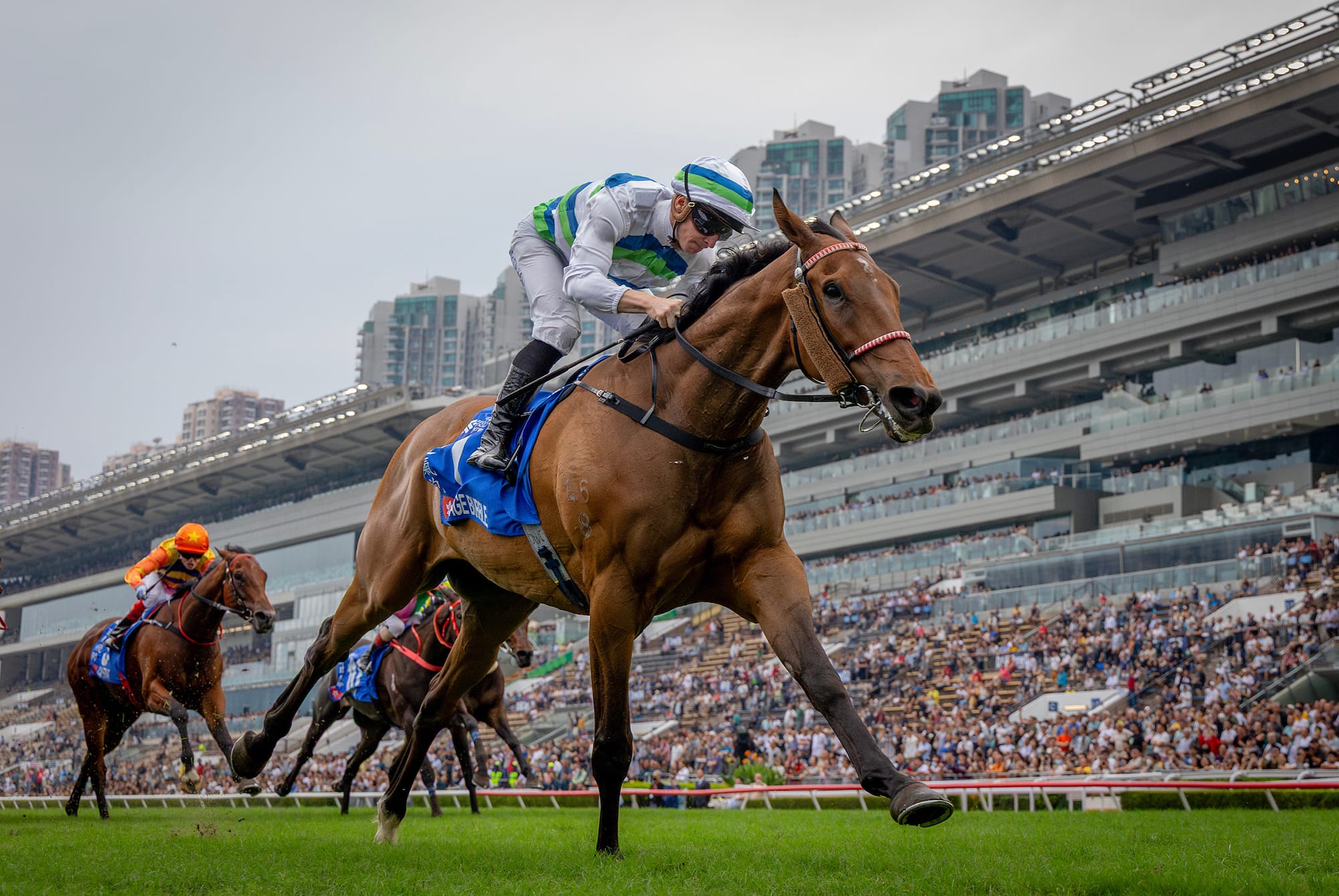 Voyage Bubble is named Champion Miler and Champion Stayer.