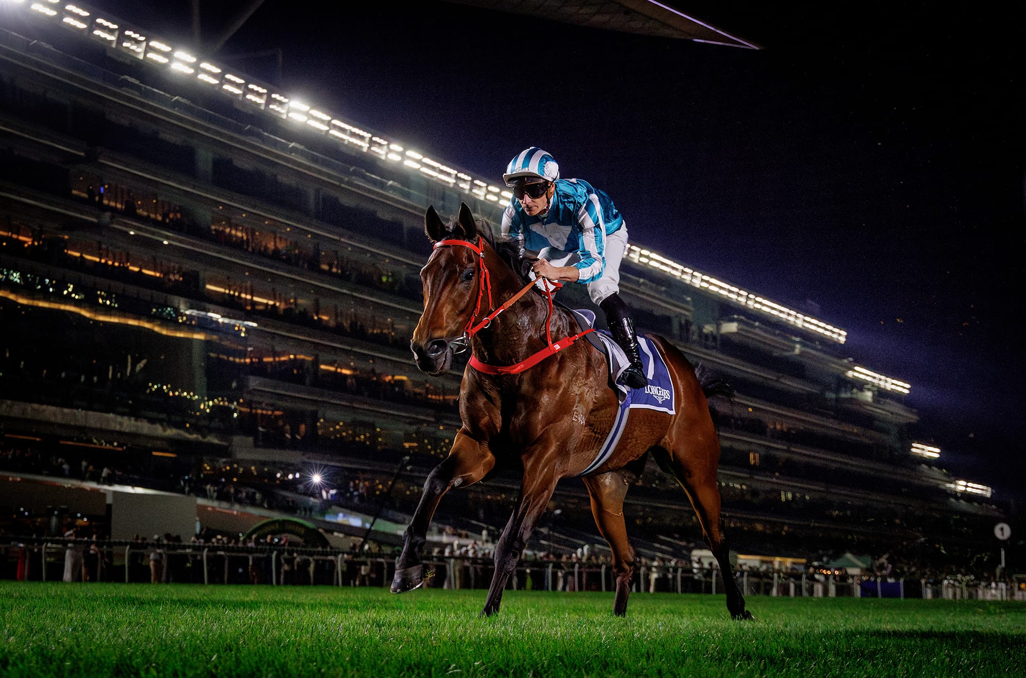 Romantic Warrior is crowned Champion Middle-Distance Horse.