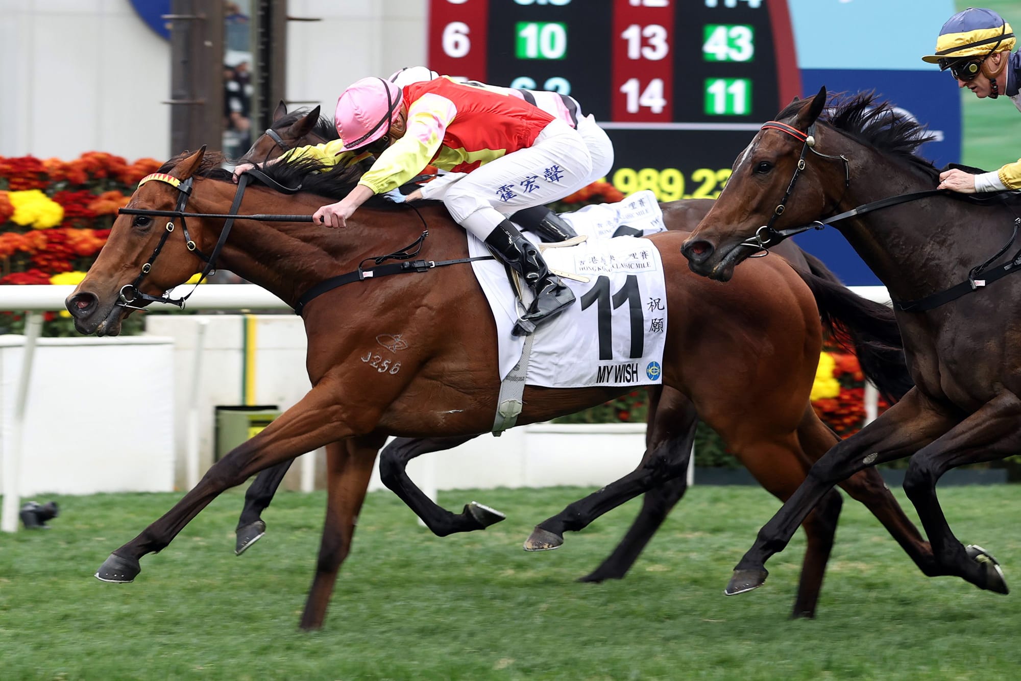 My Wish is this season’s Most Improved Horse.