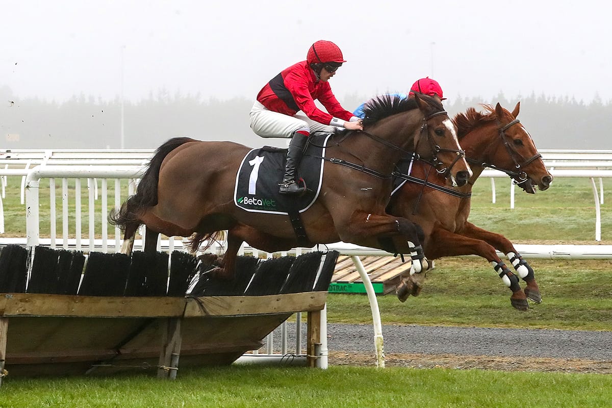 Dictation seeking redemption in Sydenham Hurdles