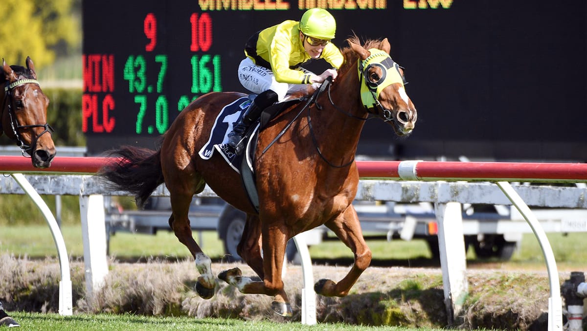 Drop Of Something takes Te Rapa thriller