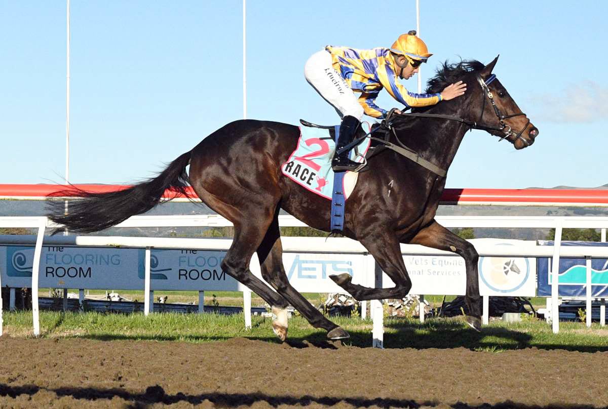 Gray quintet ready to fire this weekend