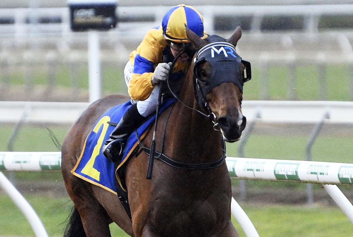 Mynott seeking synthetic gold