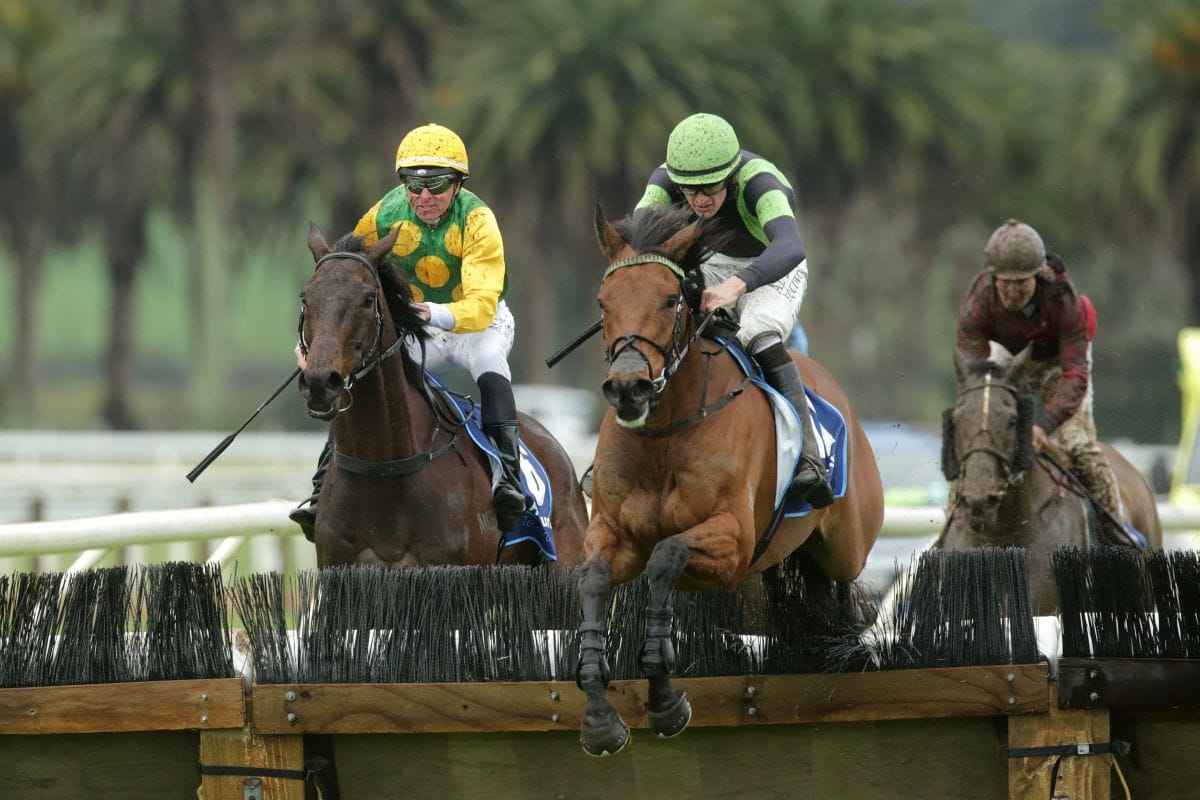 Hill Of Kings hits new heights in Pakuranga Hunt Hurdle