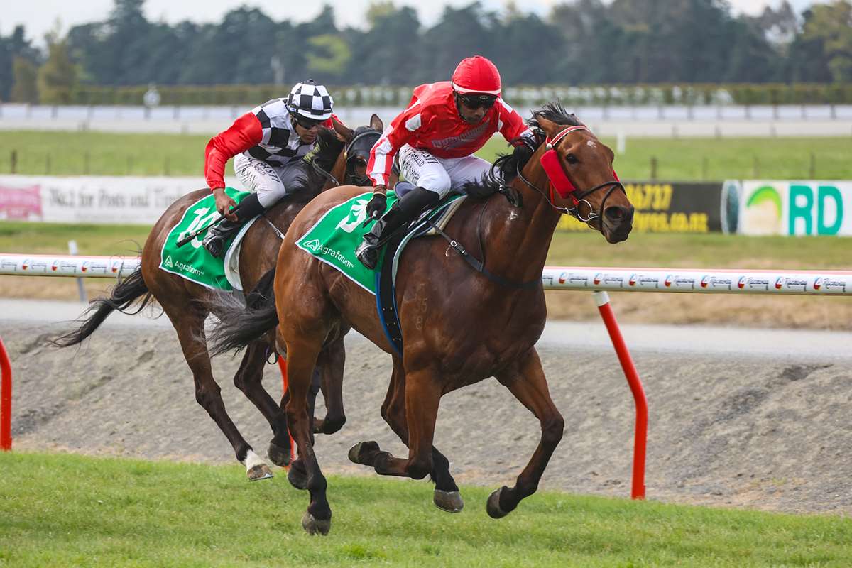 Polytrack feature in sight for Pitmans