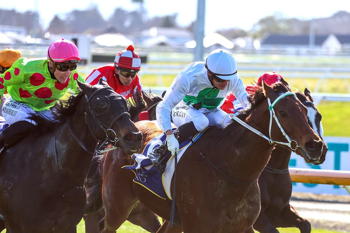 Colgan gets early double at Riccarton