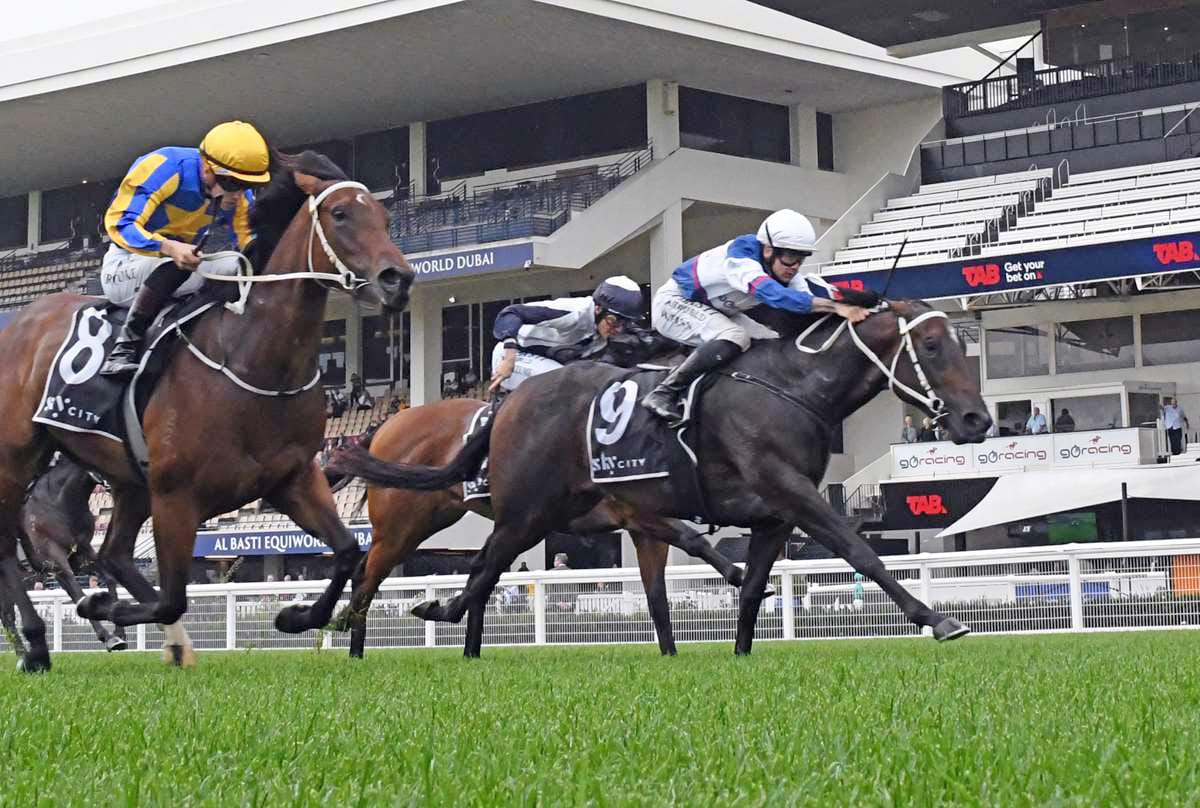 Quality fillies making good progress for Marsh