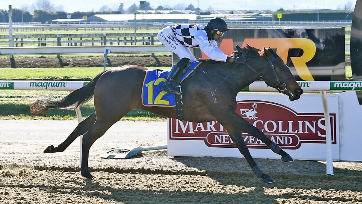 Stakes target in mind for pacy sort