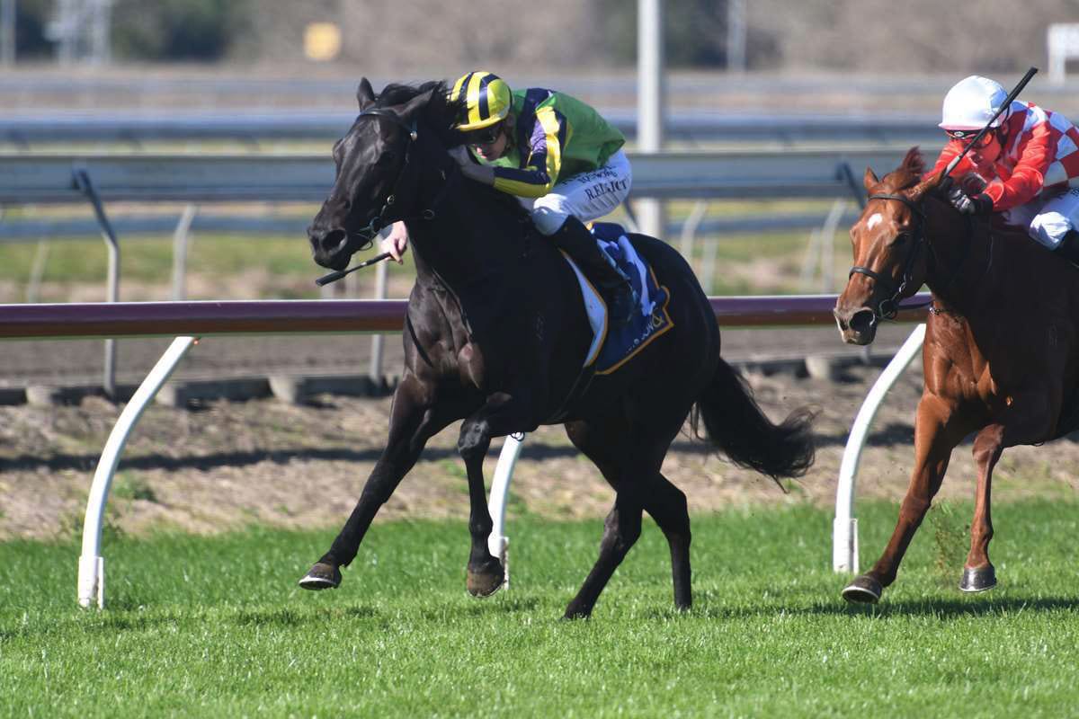 Leedox set to make New Zealand return