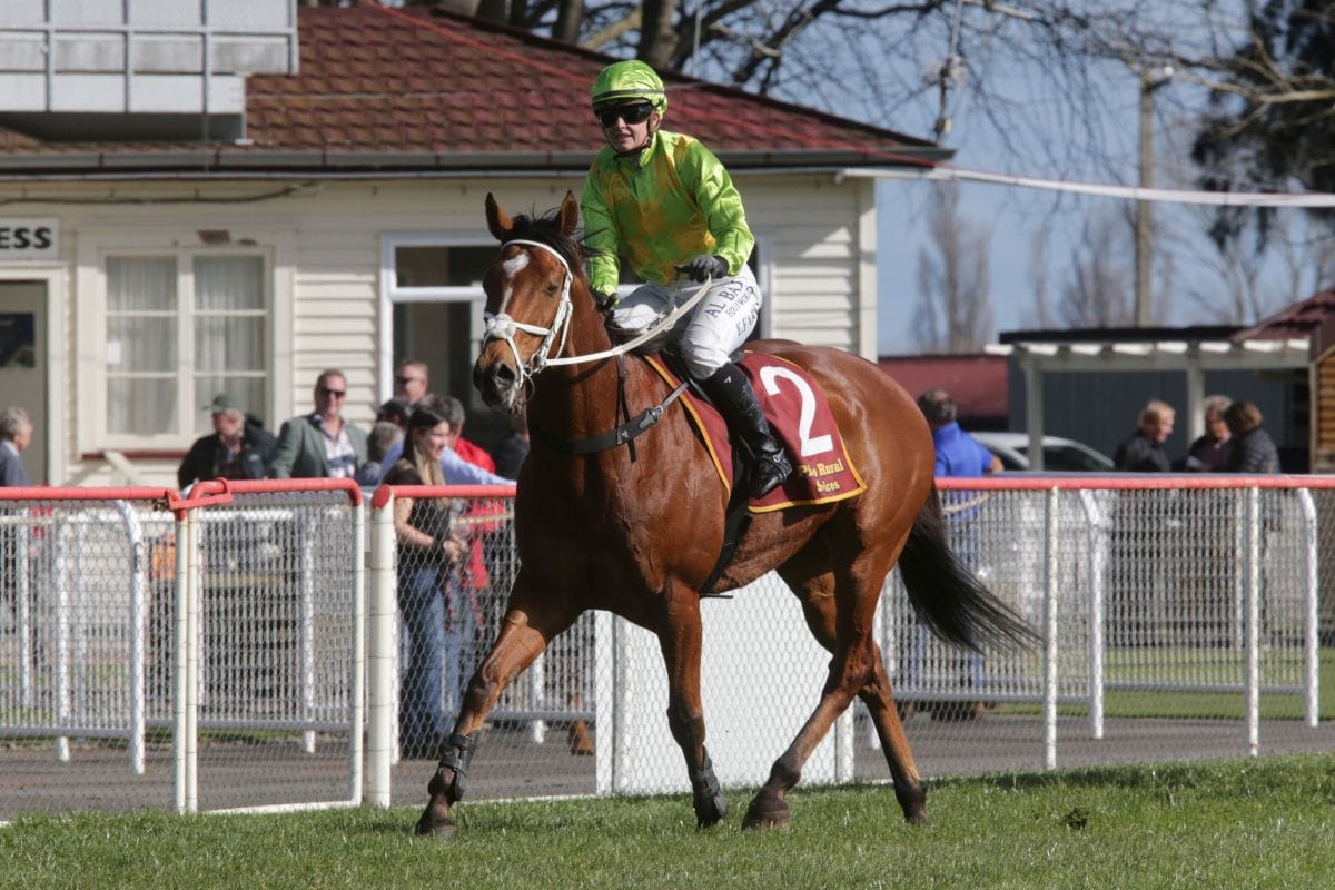 Leitrim Lad all class in feature chase