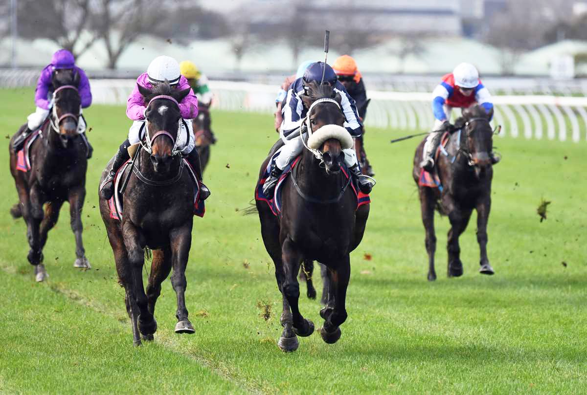 Luminance testing her talent on better surface