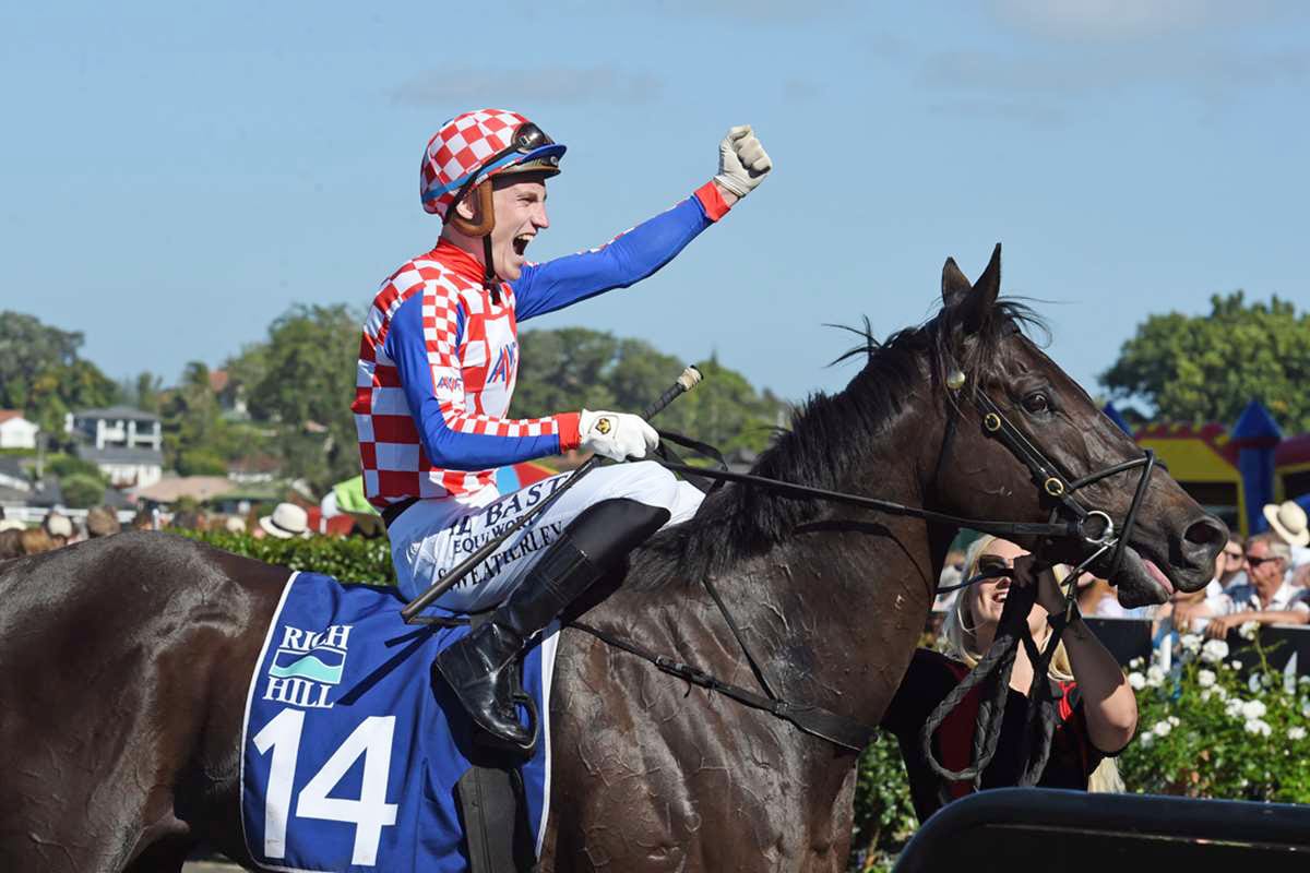 Gallant Mali Ston set for Foxbridge renewal