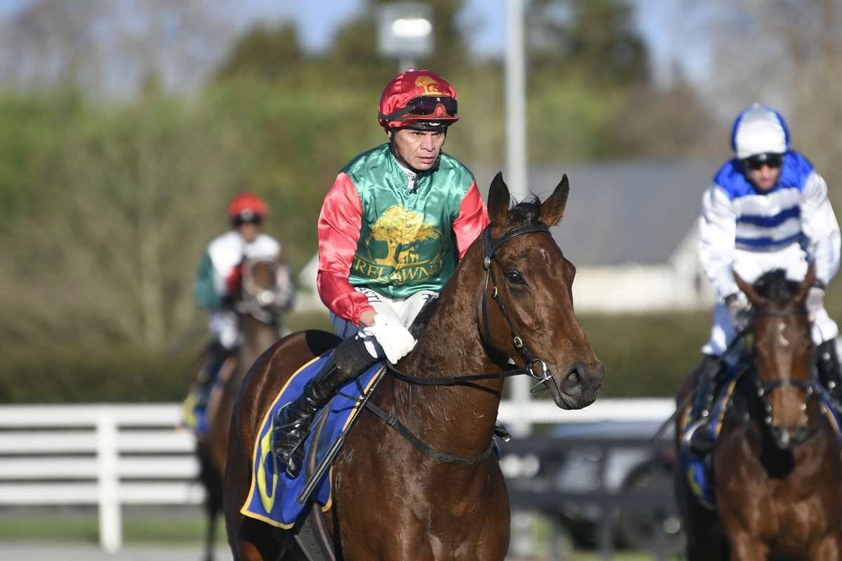 Well-related Mars set to star on synthetic again