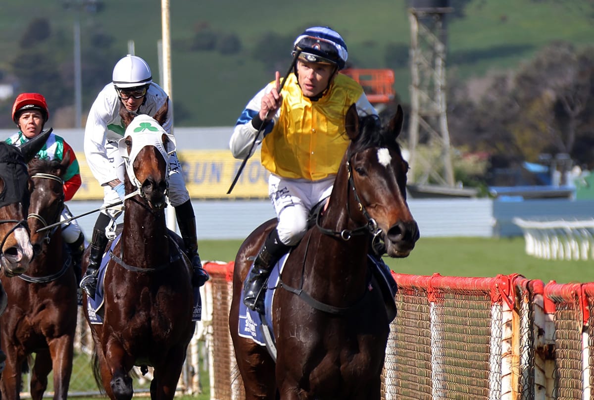 Quality mare returns in style at Wanganui