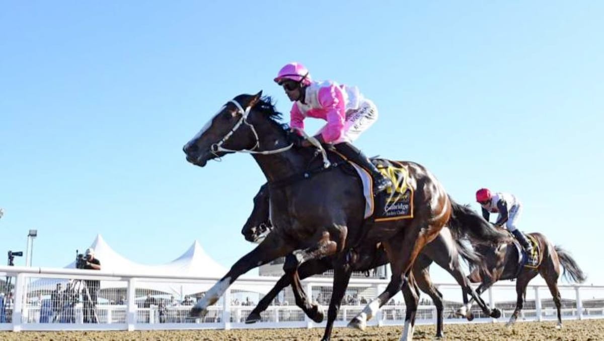 Youngsters to the fore for Marsh