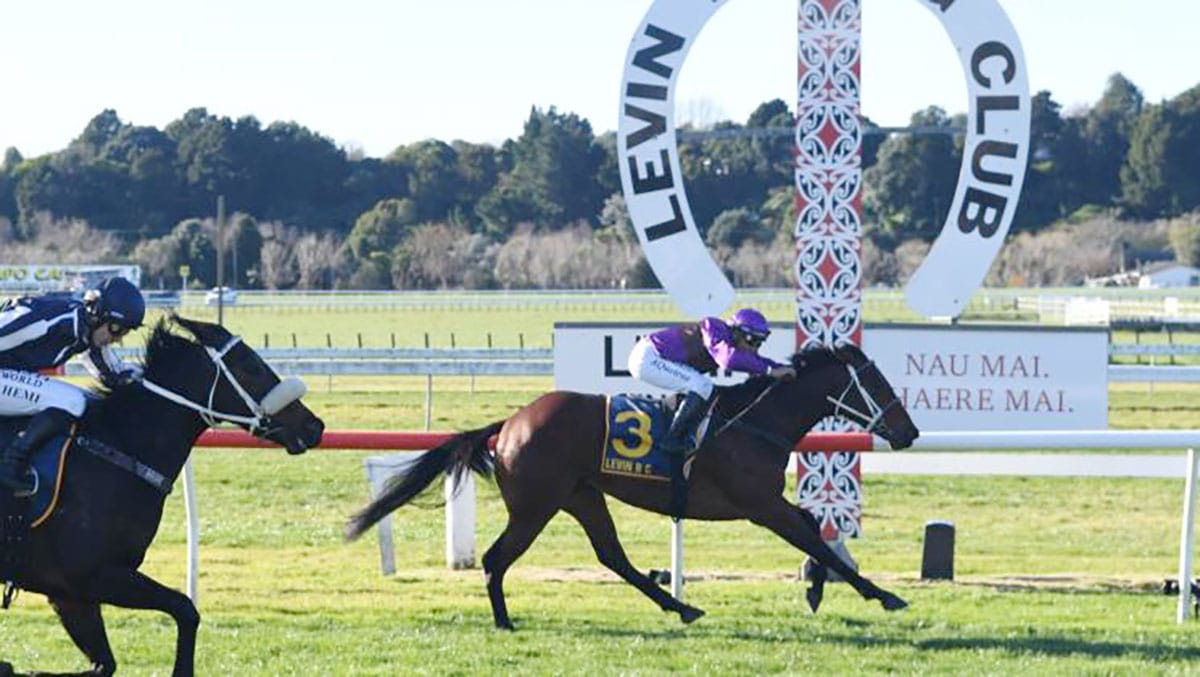 Further stakes success for Beaufort graduate