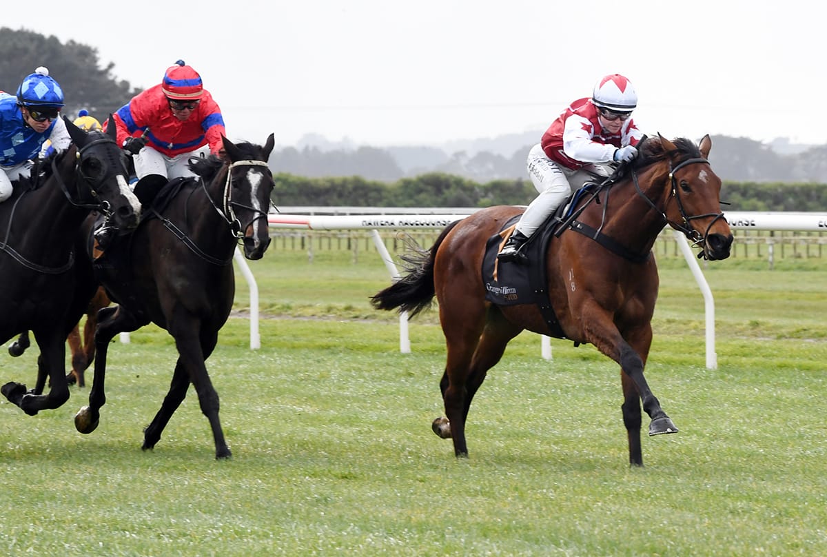 Pride Of Aspen completes hat-trick at Hawera