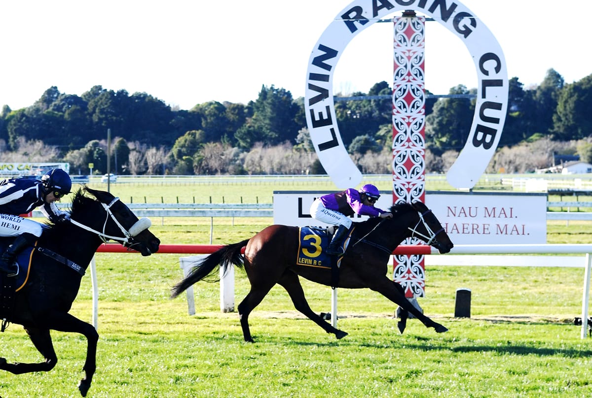 Latta favourite captures final stakes race for the season