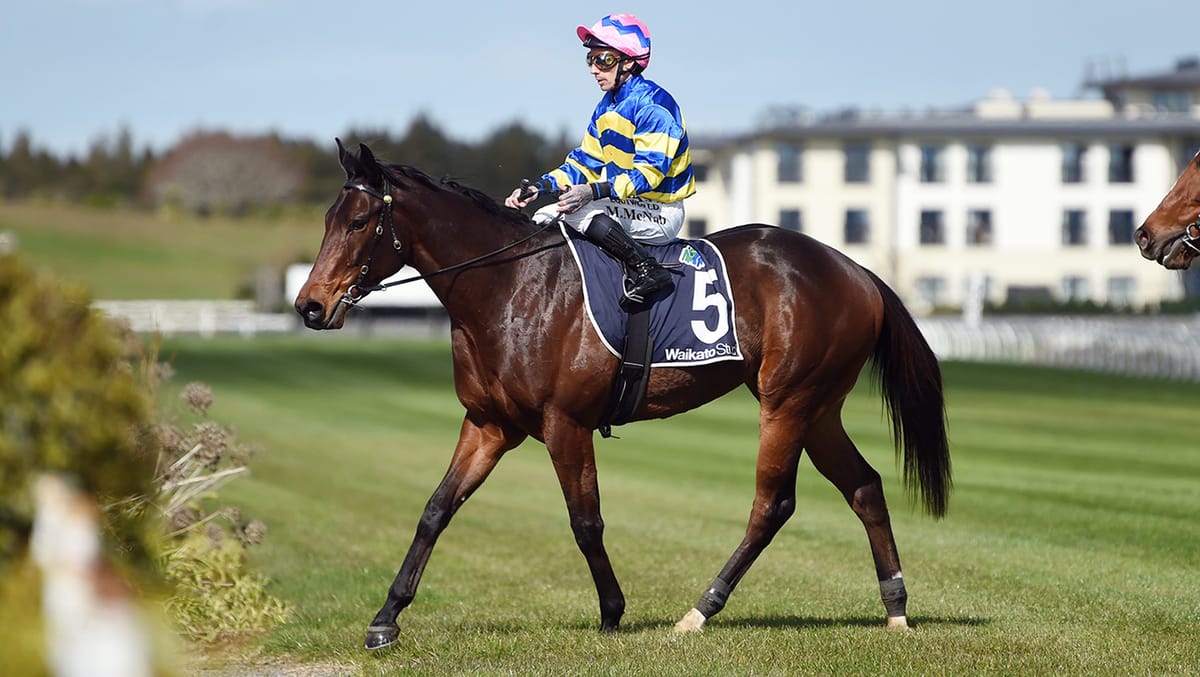 Quantum Legend shines on debut