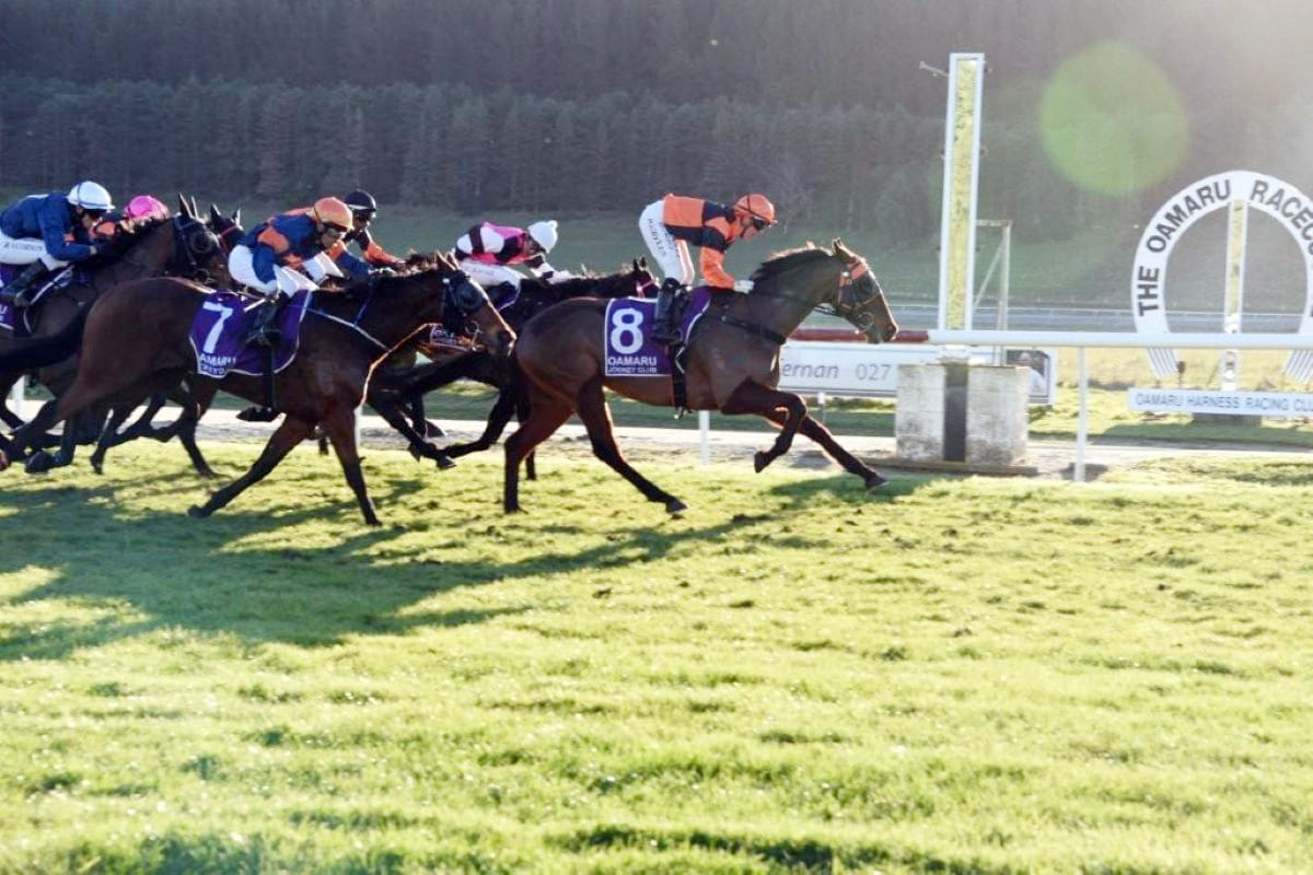 Royal result for Wilsons in Oamaru Cup