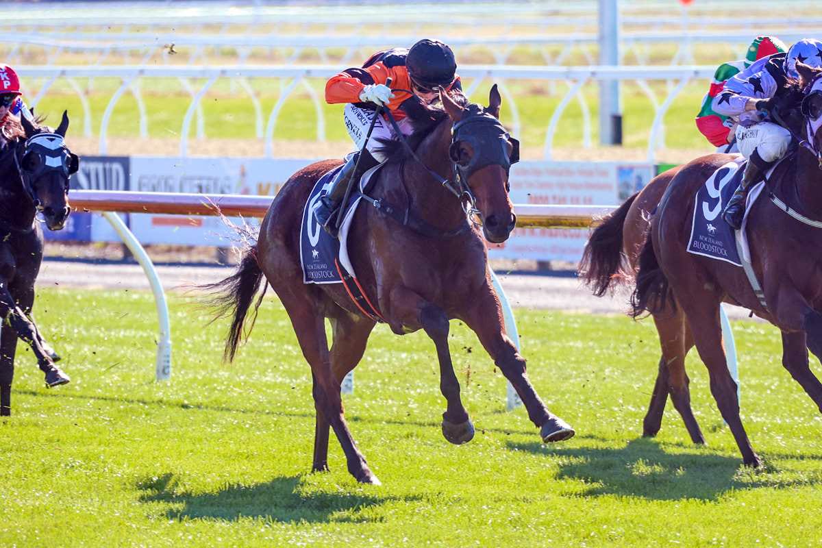 Cup plan coming to fruition for Wilsons