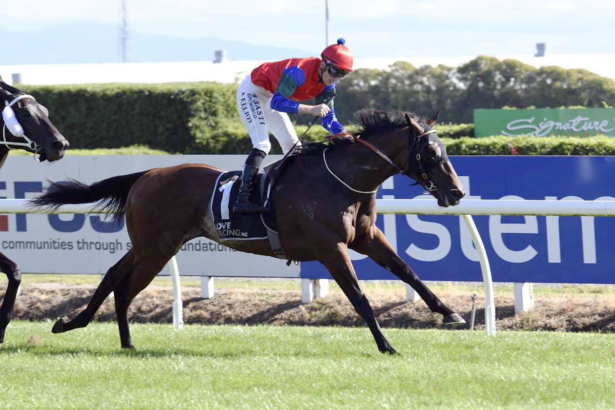 Rogersons dreaming of Melbourne Cup again with Sharp ‘N’ Smart