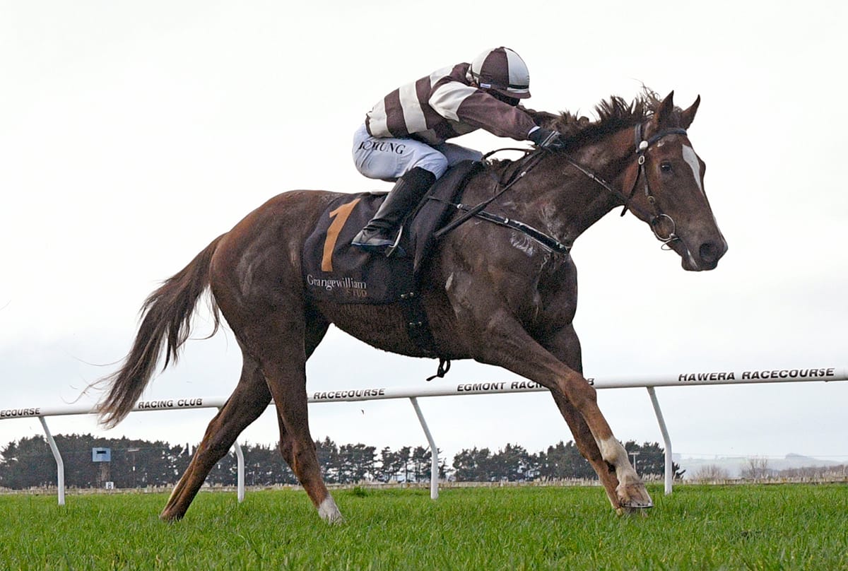 Speedy juvenile leading Sharrock’s trio at Otaki