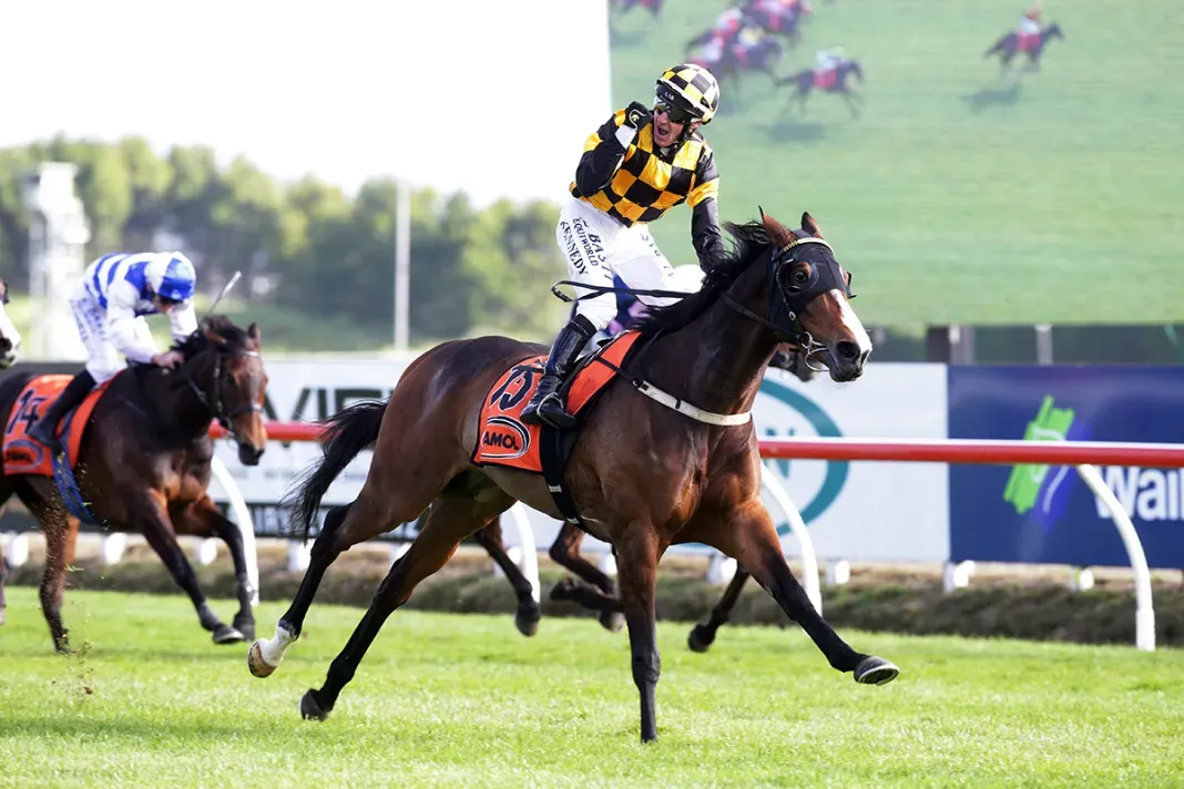 Positive signs for top mare Snazzytavi