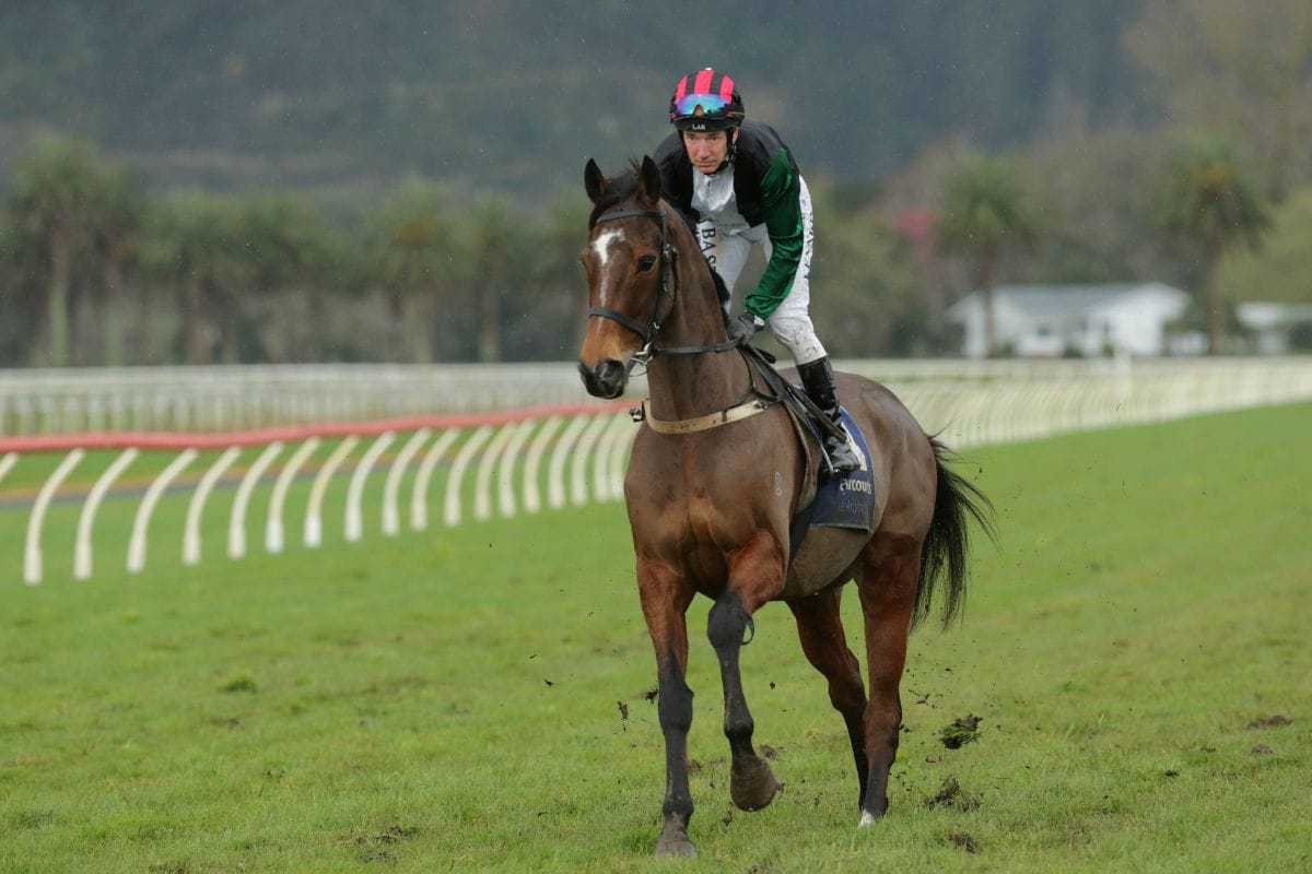 Son Of Sun makes stylish return