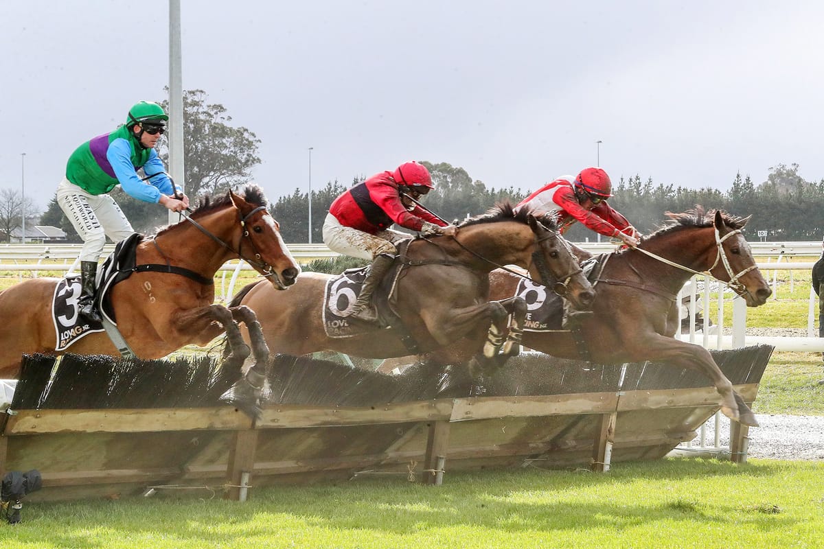 Suliman takes Grand National Hurdles in dramatic finish