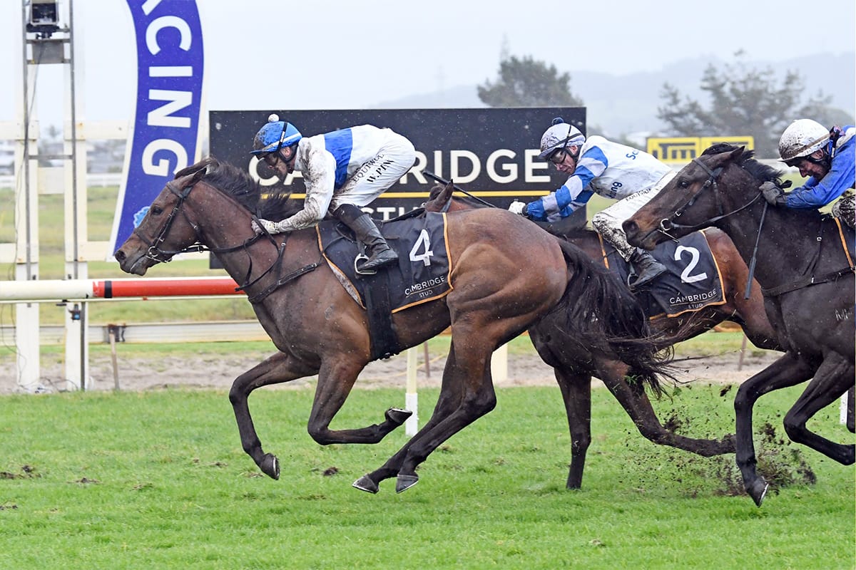 Tajana makes brilliant return in Breeders’ Stakes