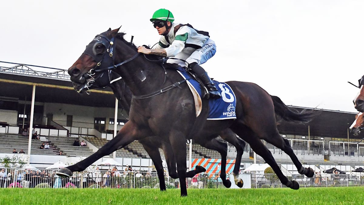 Quality mare on trail of elusive Group One