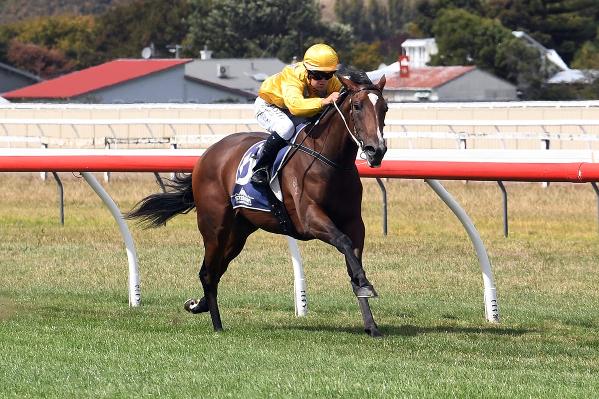 War Princess seeking crowning glory