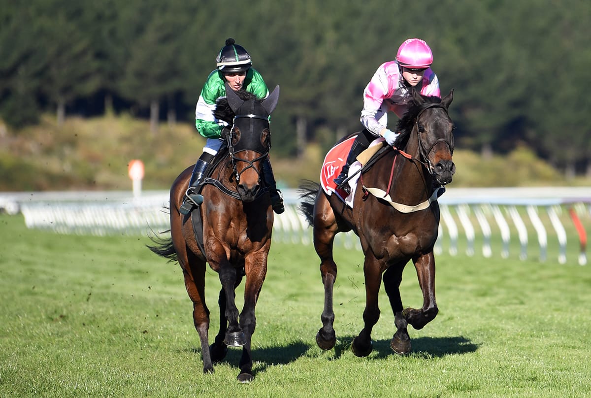 Nickalls heads south with jumping envy