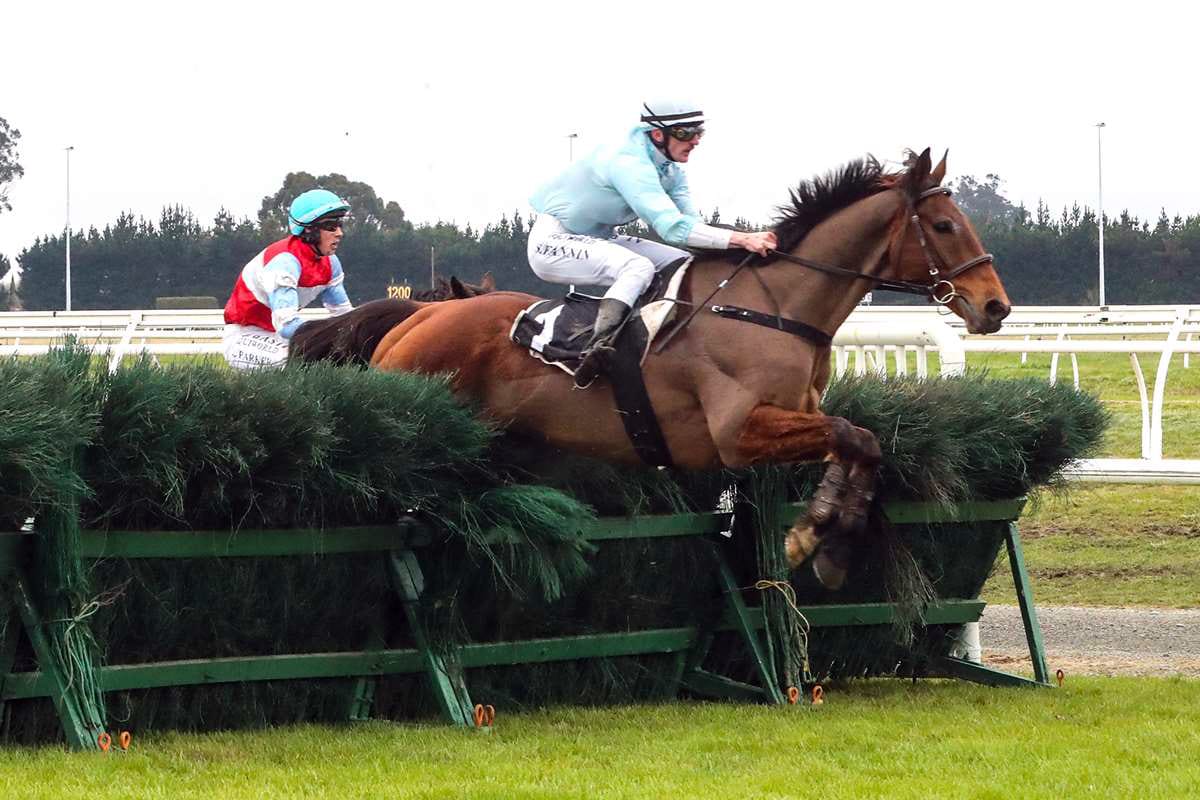 Top contender ruled out of National Hurdles