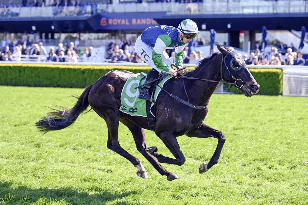 Wuddzz caps fine 24 hours for Dwyer