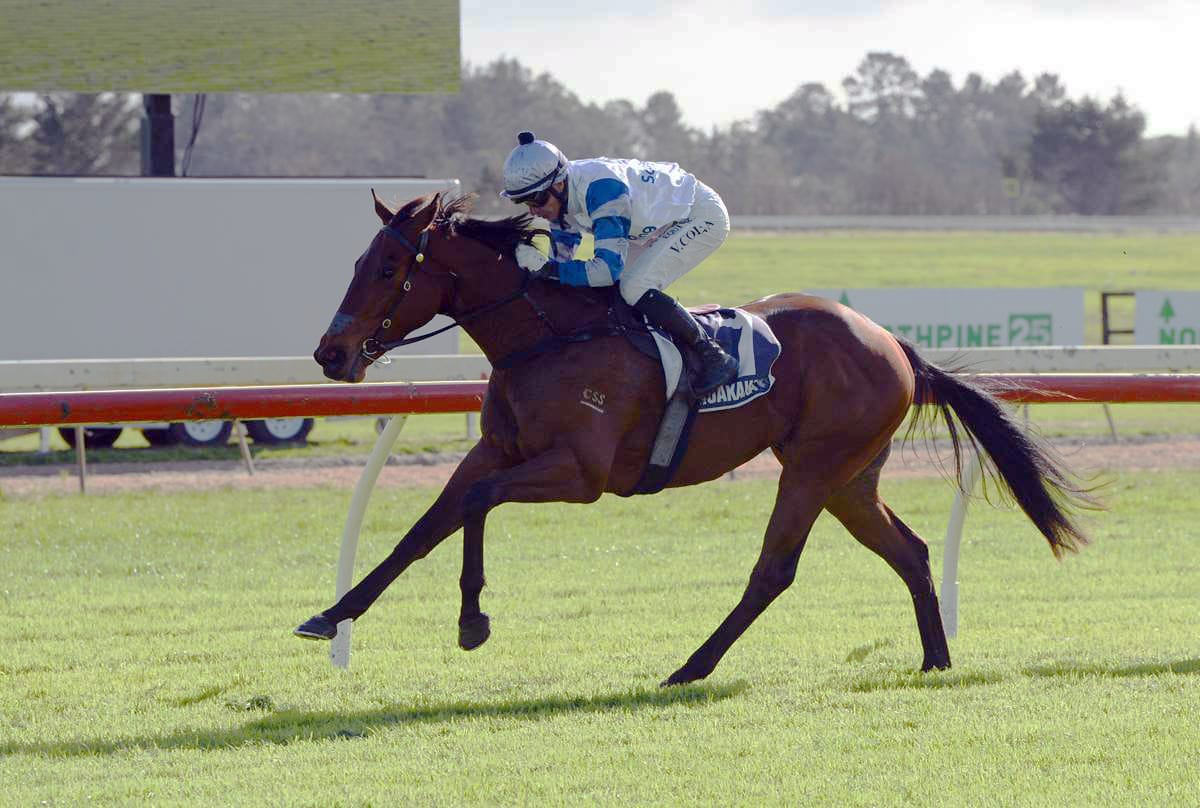 Logan back in black-type frame with Yokozuna