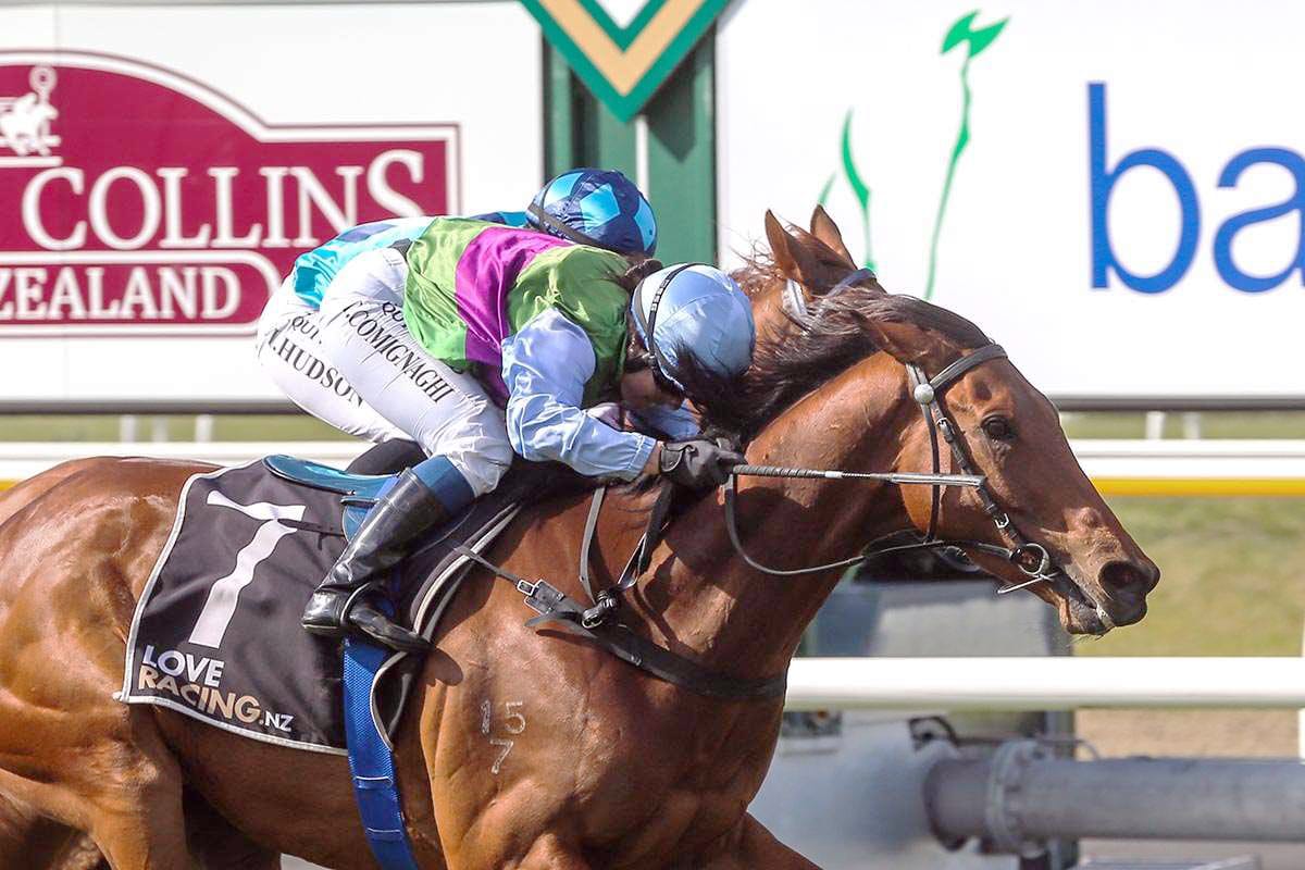 Popular Myers gallopers retired