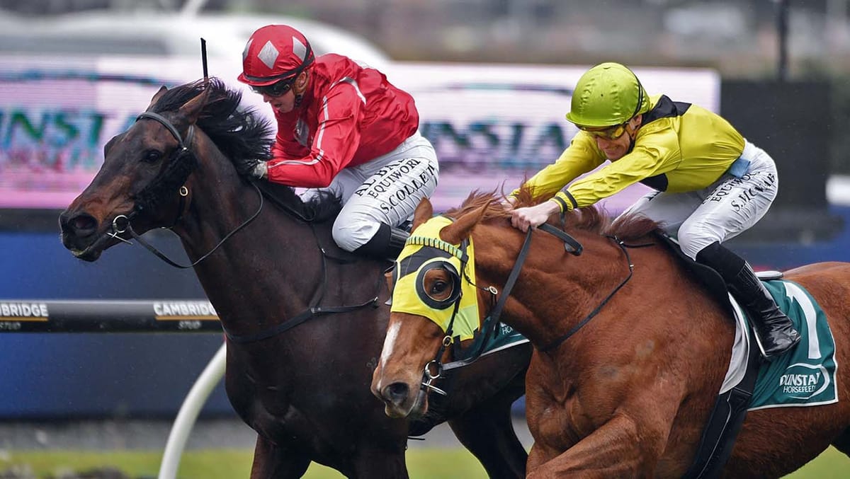 Bosch breaks Ellerslie duck in style