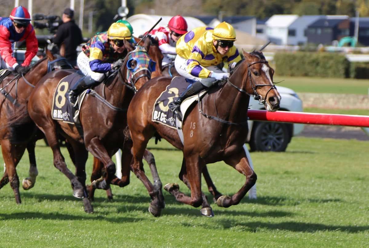 Comedy all business at Trentham