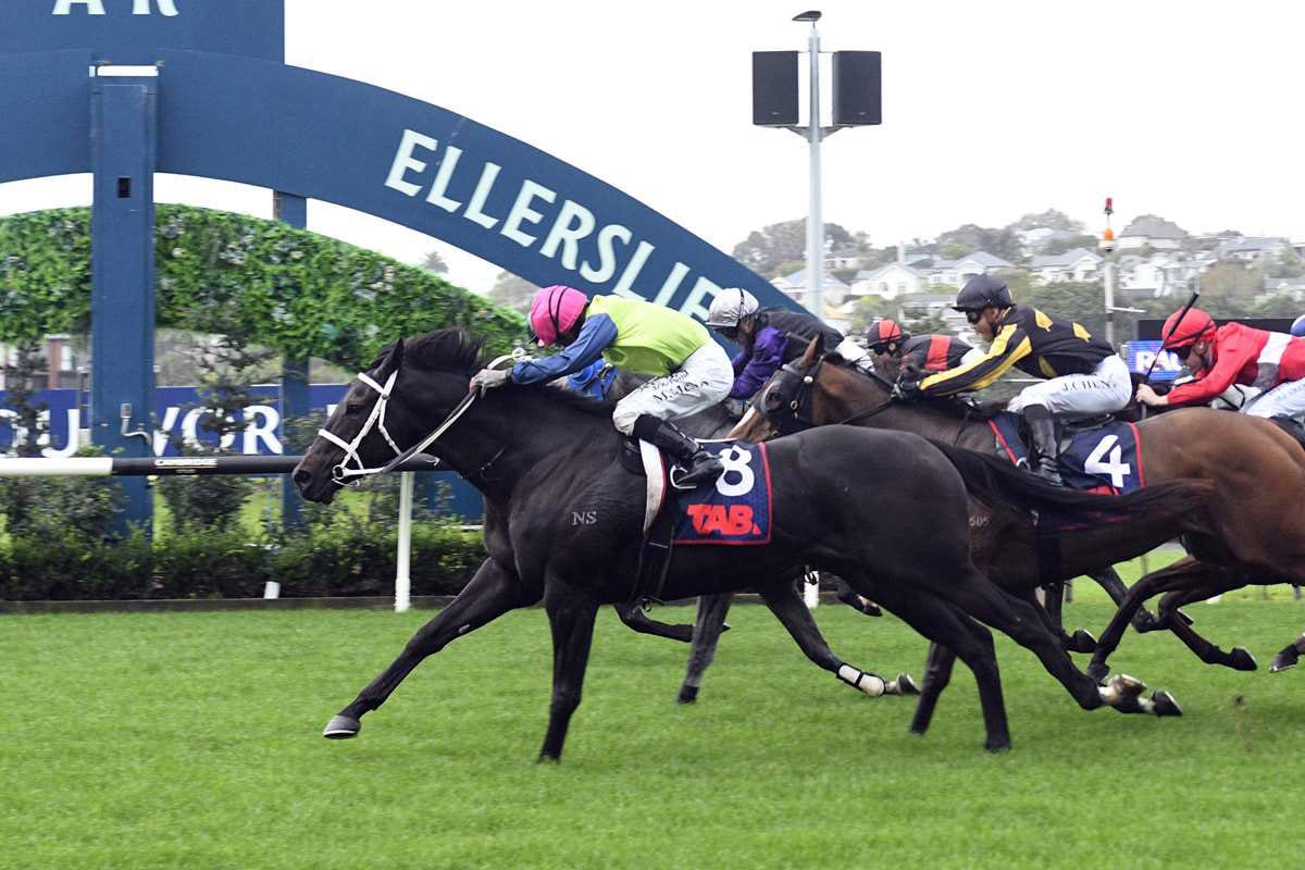 Exciting juvenile to debut at Otaki