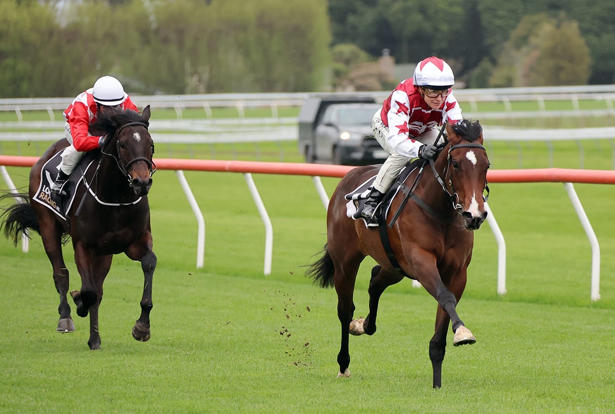 De Armas enters Karaka Millions fray