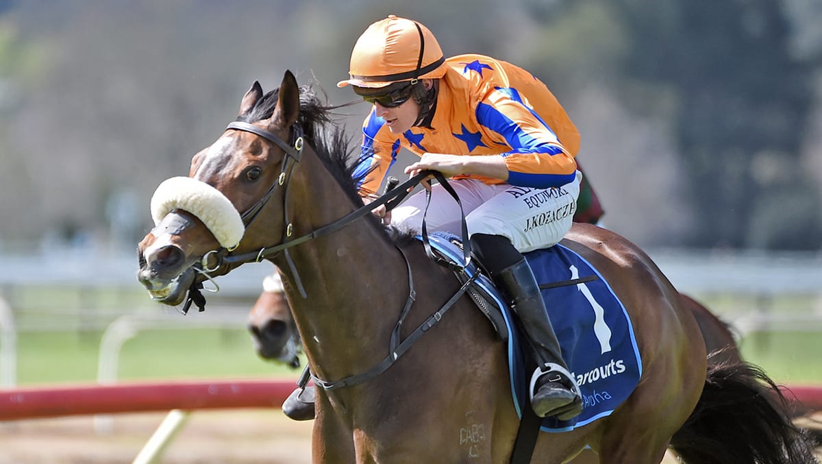 Fierce Flight kicks off a busy weekend for Te Akau