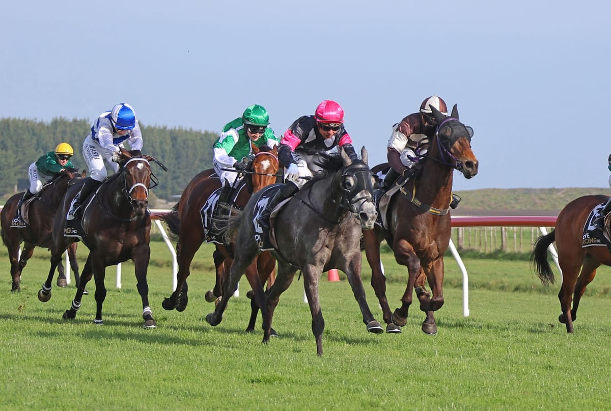 Freebelle fires first-up at Waverley