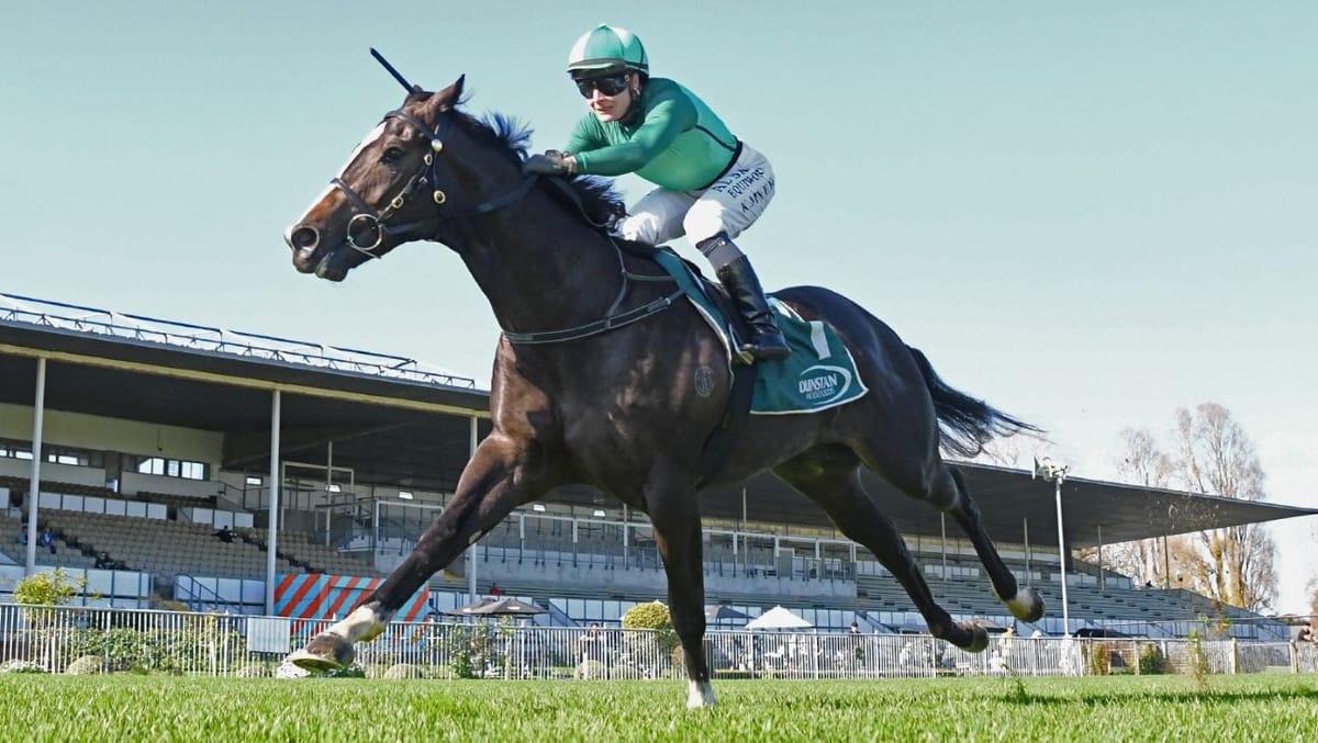 Ellerslie stakes test for Geneva