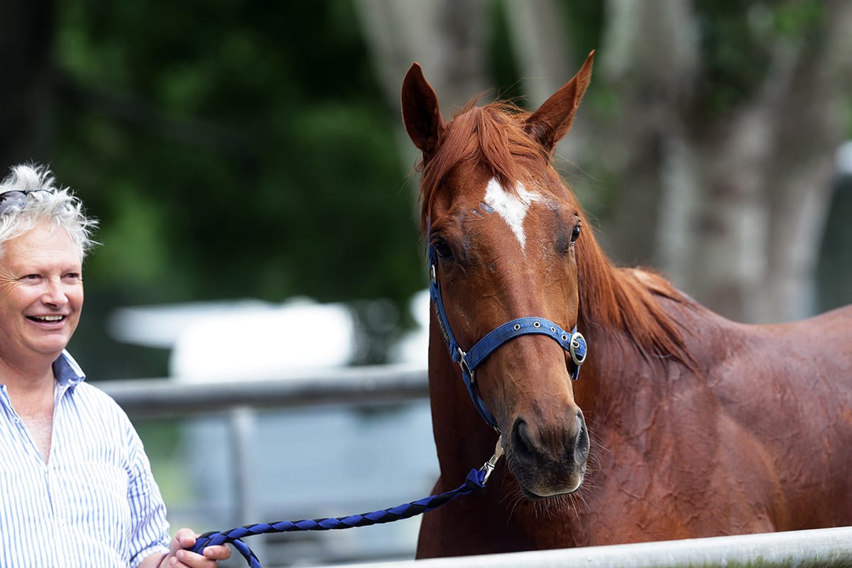 Filly shows spark in debut effort