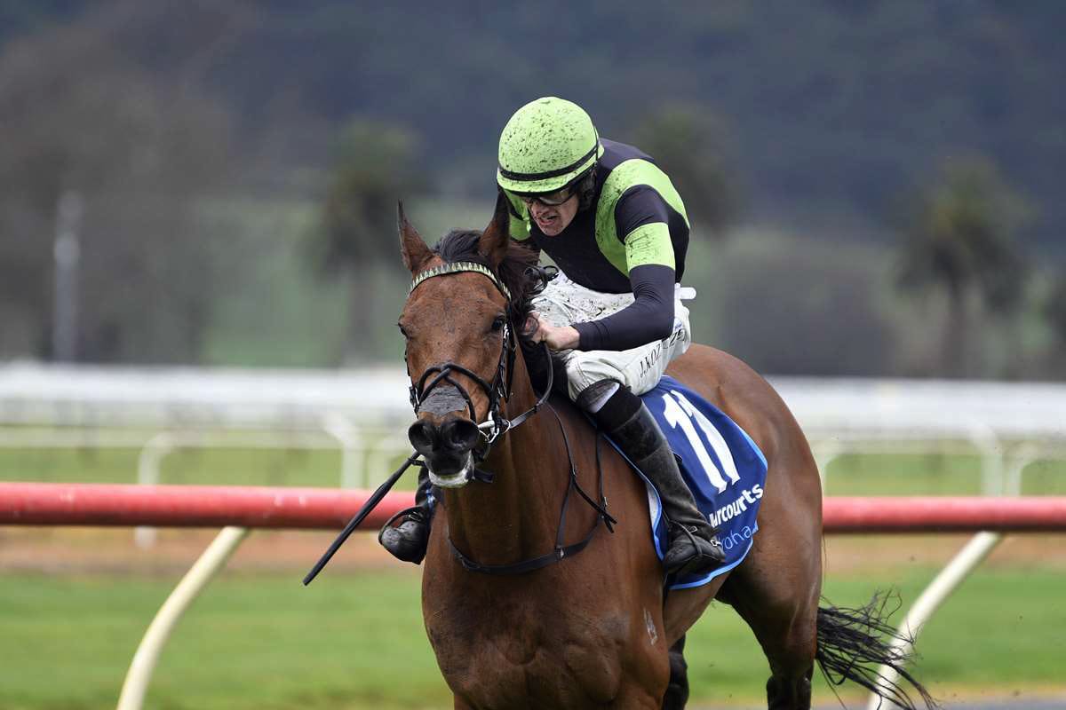 Rising jumping star primed for another prestige test