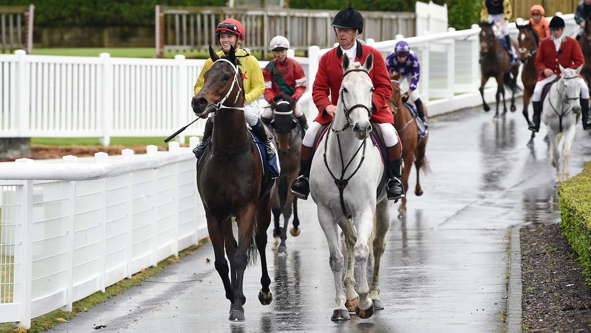 Have A Crack makes it two on end with Ellerslie win