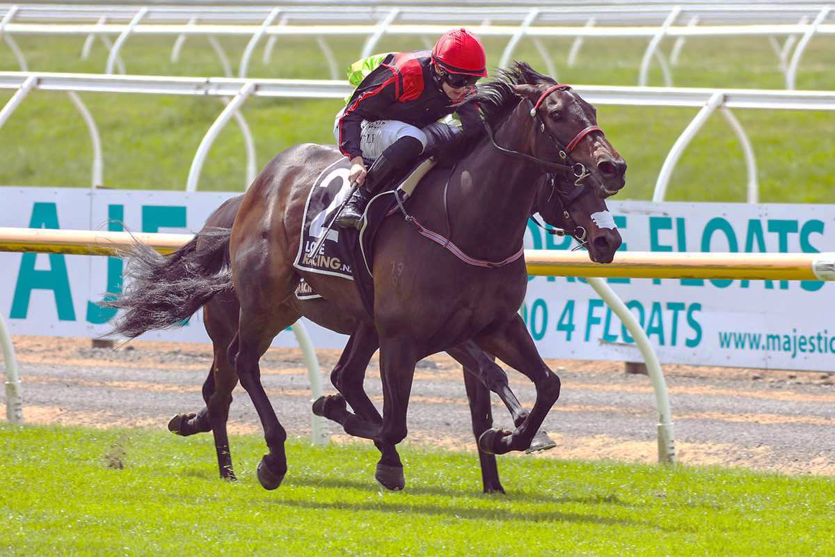 Miss Ziggy out to lose unwanted tag