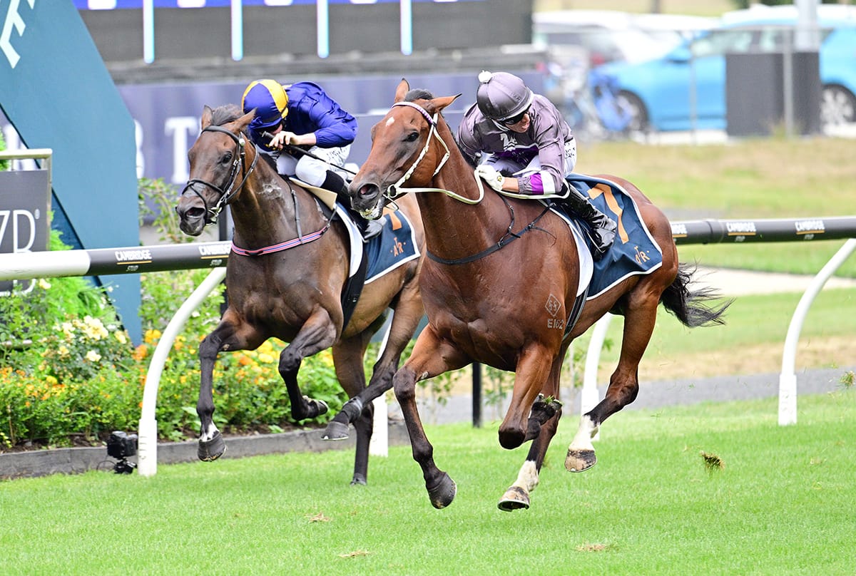 Quality sprinter thriving ahead of upcoming prep